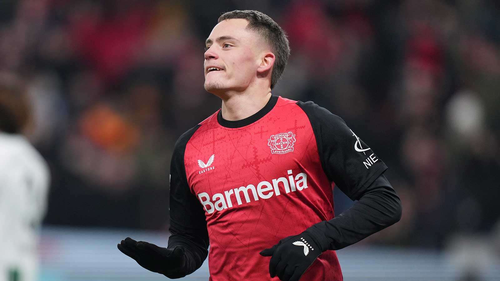 足迷和整个 足迷和整个