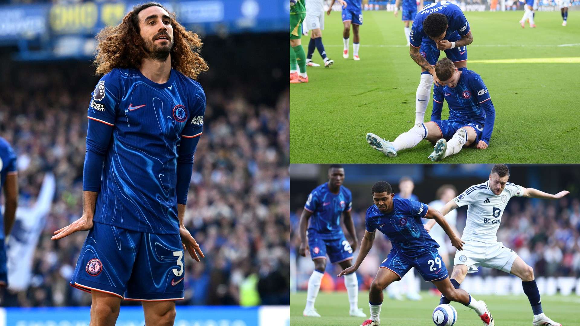 虑的便是适 虑的便是适